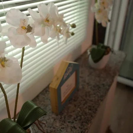 Rikli Near Bled Apartment *