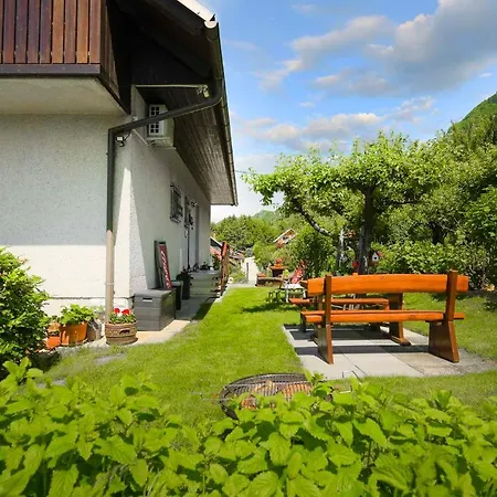 Rikli Near Bled Rodine