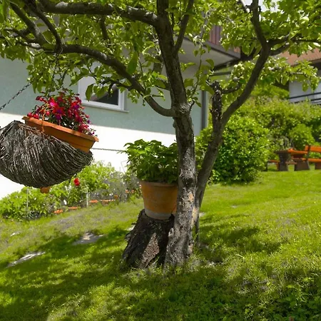 Rikli Near Bled *