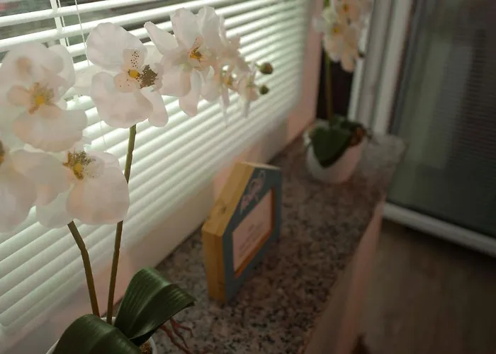 Rikli Near Bled Daire *