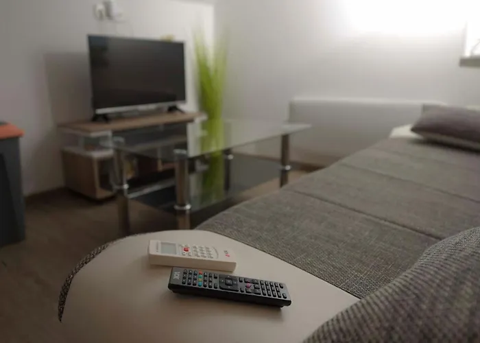 Rikli Near Bled 公寓 *